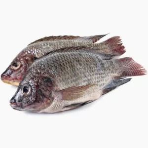 Frozen Tilapia 1kg